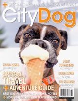 citydog_summer2018_cover_medium